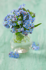 forget-me-not flower