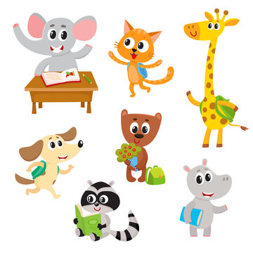 Cute little animal students, characters studying, reading, going to school, cartoon vector illustration isolated on a white background. Little baby animal students with backpacks and books, studying