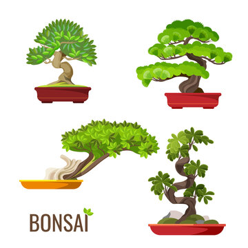 Set of bonsai Japanese trees grown in containers vector illustration