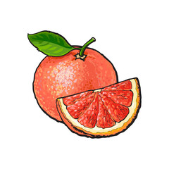 Whole and quarter piece of unpeeled ripe pink grapefruit, sketch style vector illustration on white background. Hand drawn whole juicy grapefruit fruit with fresh green leaf and qurter piece