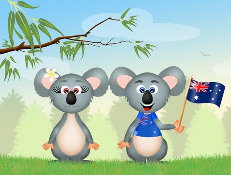 koalas couple with Australian flag