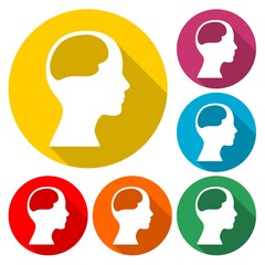 Human head silhouette and structure of the brain