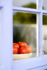 Tomato in the window