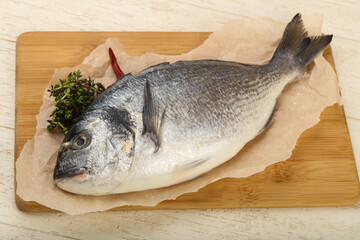 raw dorada fish