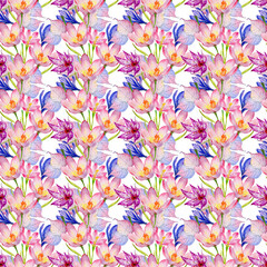 Wildflower crocuses  flower pattern in a watercolor style isolated.