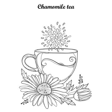 Vector cup of Chamomile herbal tea isolated on white background. Outline Chamomile flower and ornate petal in contour style for summer design, medicine, naturopathy, homeopathy, coloring book.