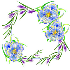 Wildflower crocuses  flower frame in a watercolor style isolated.