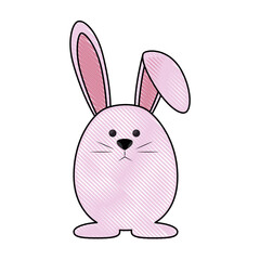 bunny animal nature vector icon illustration graphic design