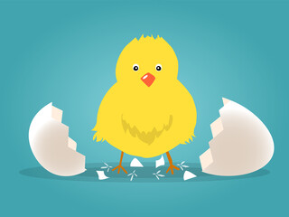 Chick born broken shell egg vector