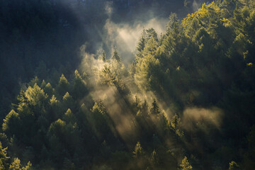Fototapeta na wymiar Foggy landscape. Misty morning in a valley of Bohemian Switzerland park. Landscape of Czech Republic