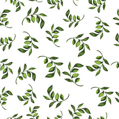 Seamless pattern with green leaves on white background. Hand drawn watercolor illustration.