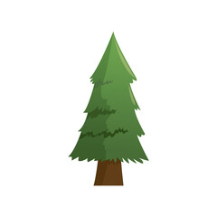 cartoon pine tree natural plant conifer image vector illustration