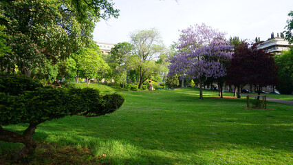 Photo of Army museum on a spring morning, Paris, France