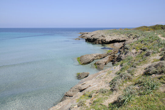 Cap corse, plage de Tamarone, chemin des douaniers