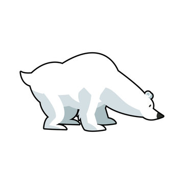 cartoon cute polar bear wild artic vector illustration