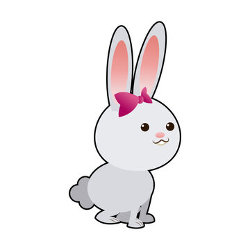 cute rabbit cartoon sweet animal funny vector illustration
