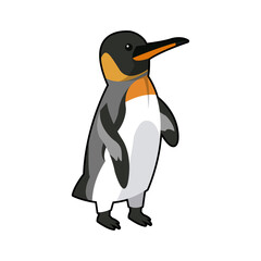 Obraz premium emperor penguin bird nature marine animal vector illustration