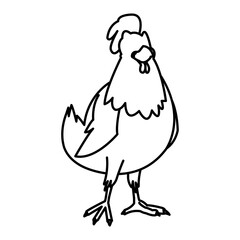 cartoon hen bird farm domestic animal vector illustration