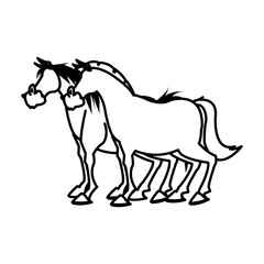 Naklejka na ściany i meble horse domestic animal, farming, agricultural species vector illustration