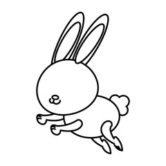 cute rabbit cartoon sweet animal funny vector illustration