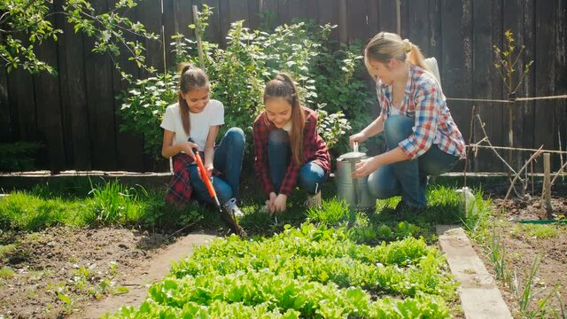 Happy young woman working with daughter in garden on lettuce patch