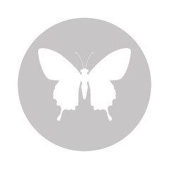 Beautiful butterfly silhouette icon vector illustration graphic design