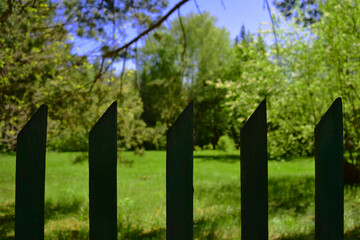 Old green grungy pointed wooden fence on a Siberian park blurry background