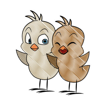 cartoon little chicken bird farm animal image vector illustration