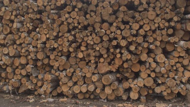 AERIAL, CLOSE UP: Long rows of perfectly stacked log woodpiles along the gravel road at the edge of a mixed forest. Large stack of prepared and cut lumber lying on the field under the stormy skies