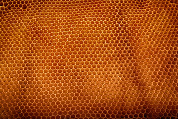 honey combs background