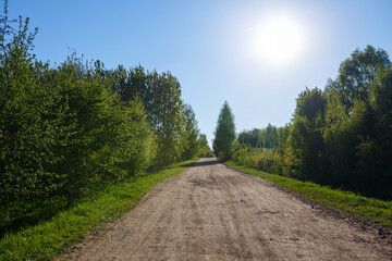 Fototapeta na wymiar Beautiful forest road, on a warm sunny day