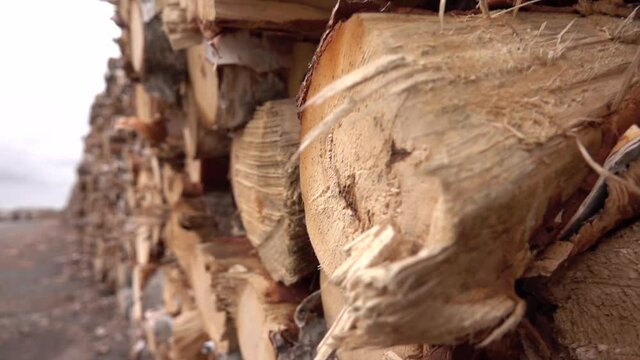 CLOSE UP: Detail of a shredded wood and bark, timber texture, a beautiful natural pattern created with perfectly stacked pile of firewood lumber. Tree logs cut, delimbed and prepared in large woodpile