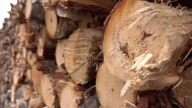 CLOSE UP, DOF: Detail of large stack of firewood piled flawlessly in huge woodpile. Perfectly stacked hardwood after being seasoned. Big felled, chopped and sawed tree trunks stored in timber yard