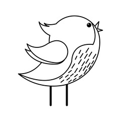 cute bird birthday decoration celebration icon vector illustration