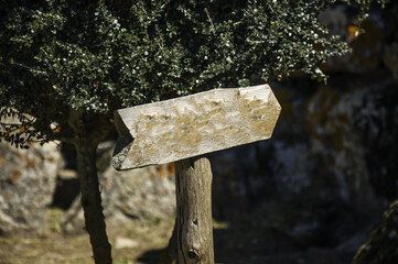 Wooden sign
