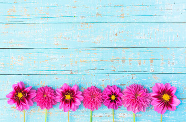 Frische Sommer Blumen auf Holz Hintergrund türkis mit Textfreiraum
