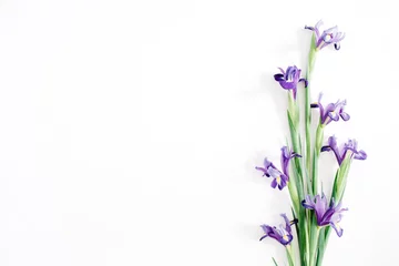 Foto op Plexiglas Iris Beautiful purple iris flowers bouquet on white background. Flat lay, top view