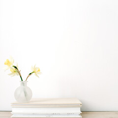 Yellow narcissus flower in flowerpot on photo albums in front of white background.