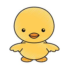 Fototapeta premium cute color scribble chick cartoon graphic design