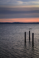 Obraz premium Sunset pylons