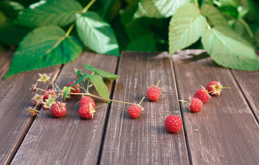 Raspberries near bush on wooden table in garden