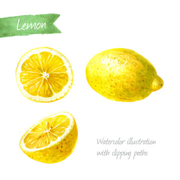 Lemon whole and sliced isolated  watercolor illustration