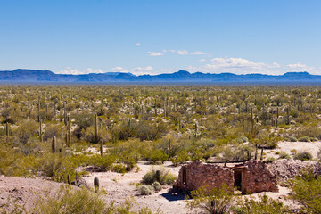 Ruin house Sonora Desert Organ Pipe Cactus NM AZ