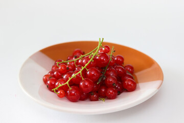 Ripe red currants