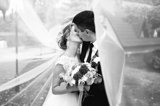 Newlyweds kiss under the veil in the park