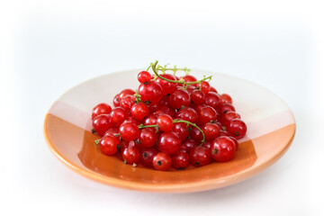 A bunch of red currant berries