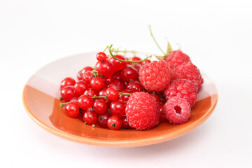 Raspberry and red currant