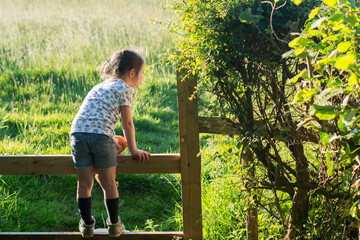 Little girl climbing over the fence