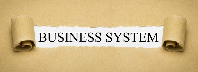 Business System