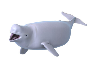 Obraz premium 3D Rendering Beluga White Whale on White
